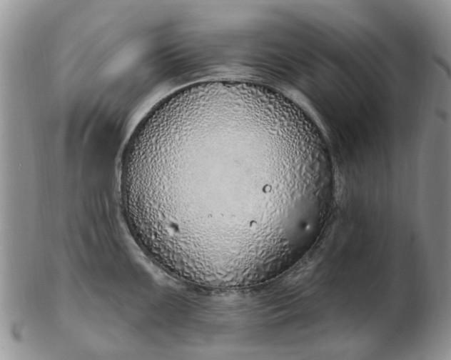 X0000103171099200809051716