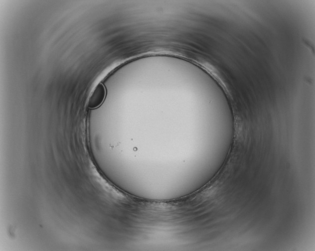 X0000103171100200809051716