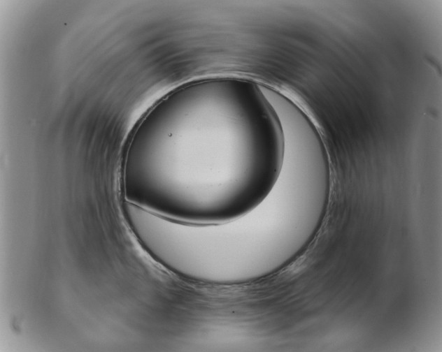 X0000103171101200809051716