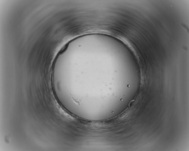 X0000103171102200809051716