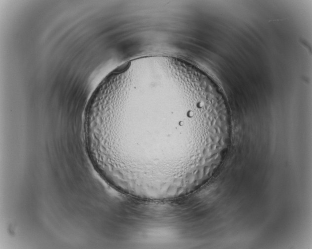 X0000103171103200809051716