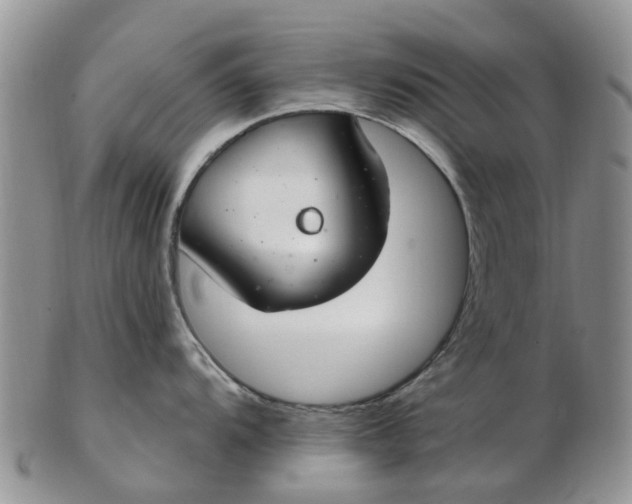 X0000103171104200809051716