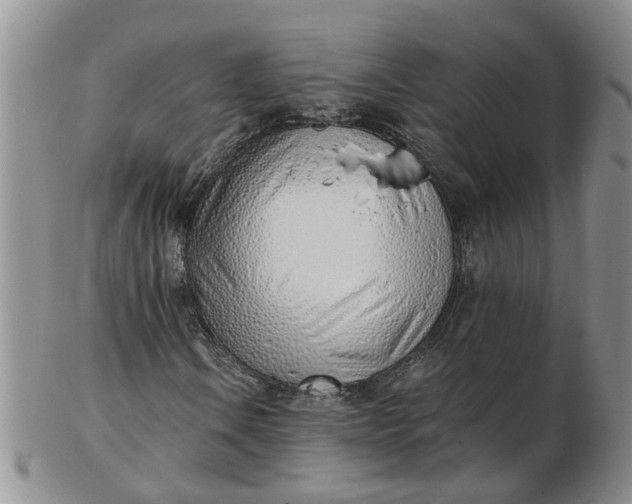 X0000103171106200809051715