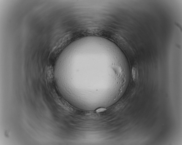 X0000103171107200809051715