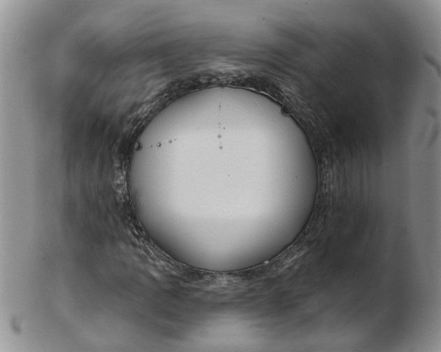 X0000103171109200809051715