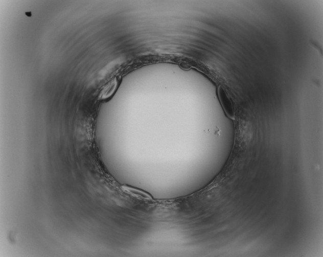 X0000103171110200809051715