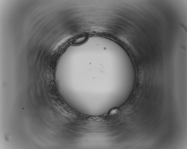 X0000103171112200809051715