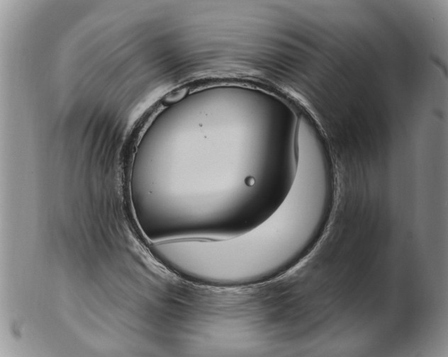 X0000103171114200809051715