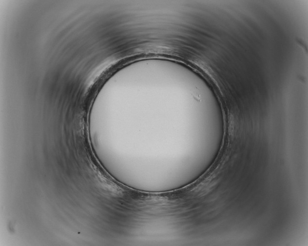 X0000103171115200809051715