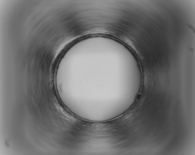 X0000103171116200809051715