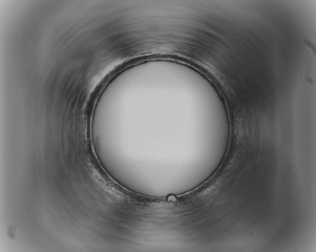 X0000103171118200809051715