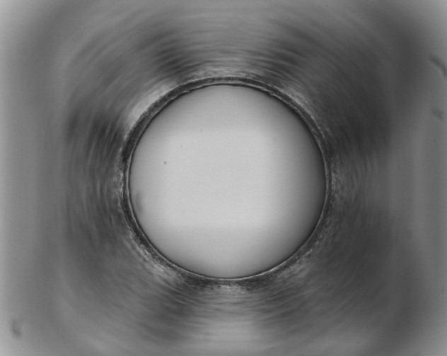 X0000103171119200809051715