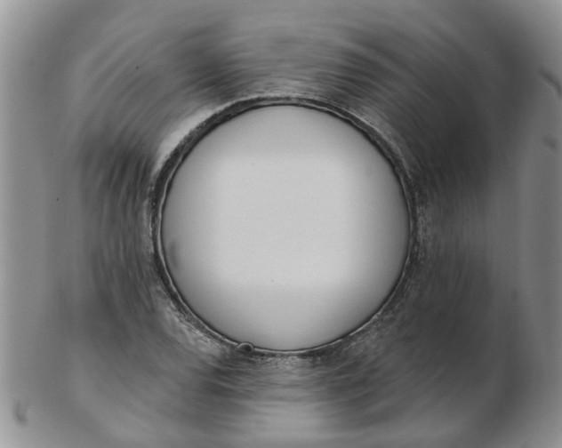 X0000103171120200809051715