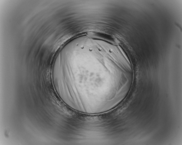 X0000103171121200809051715