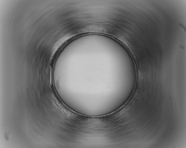 X0000103171123200809051716