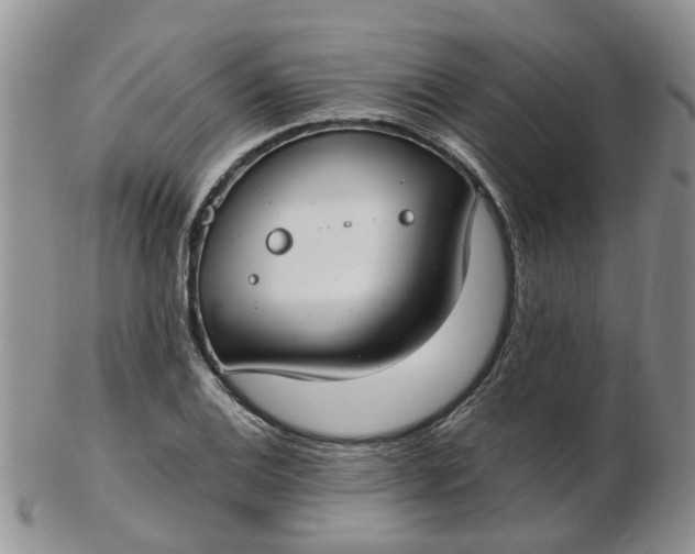 X0000103171124200809051716