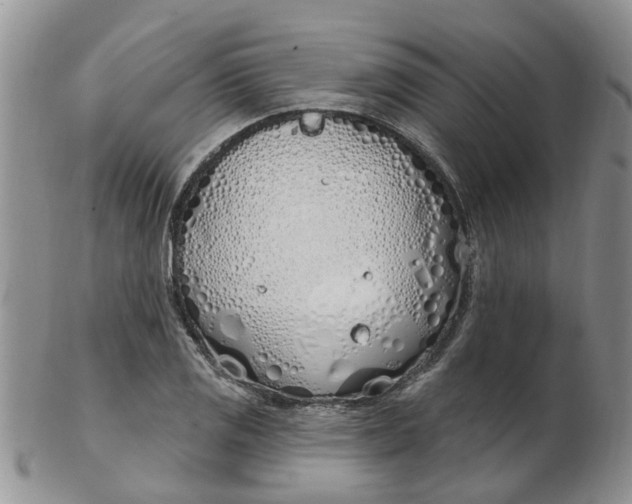 X0000103171125200809051716