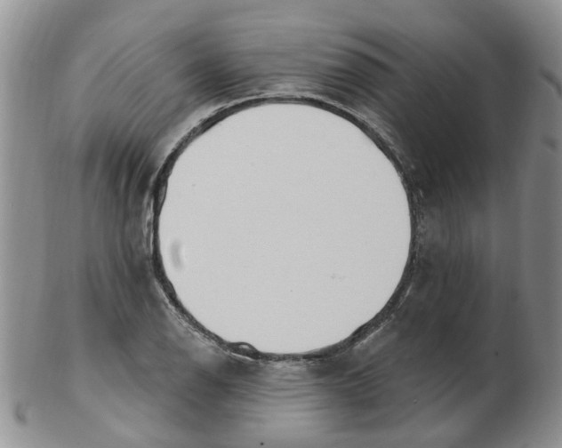 X0000103171126200809051716