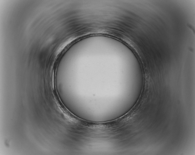 X0000103171127200809051716