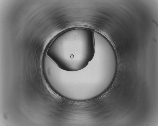 X0000103171128200809051716