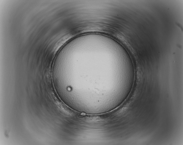 X0000103171129200809051716