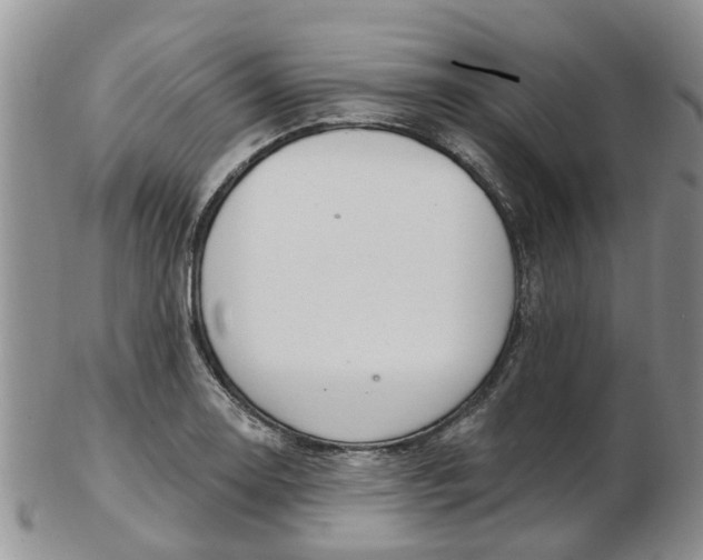 X0000103171130200809051716