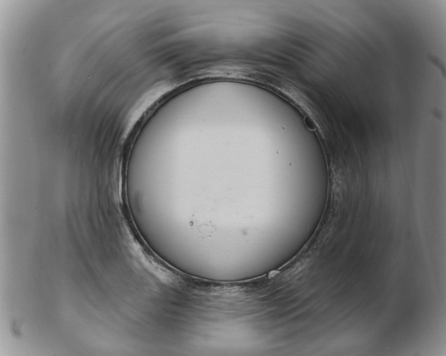 X0000103171131200809051716