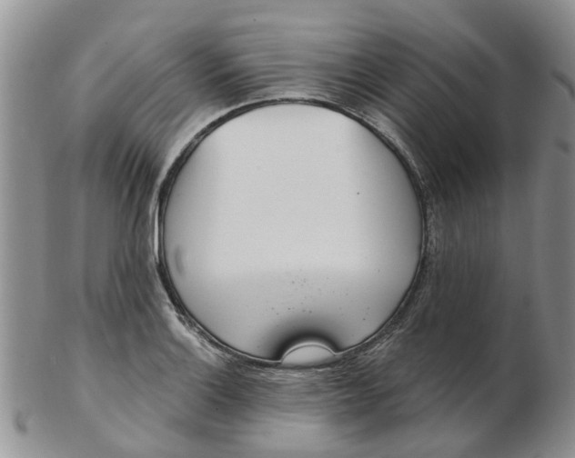 X0000103171132200809051716