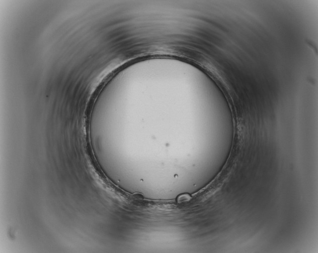 X0000103171133200809051716