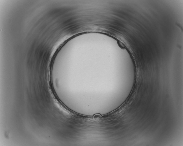 X0000103171136200809051716