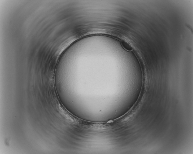 X0000103171137200809051716