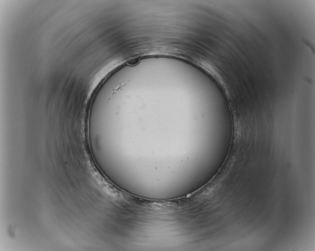 X0000103171138200809051716