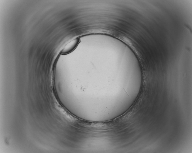 X0000103171140200809051716