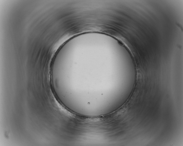 X0000103171143200809051716