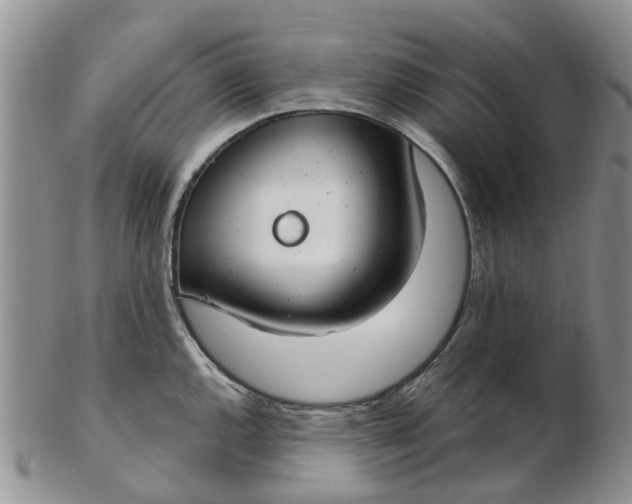 X0000103171144200809051716