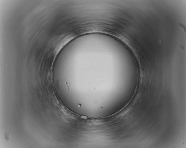 X0000103171145200809051716