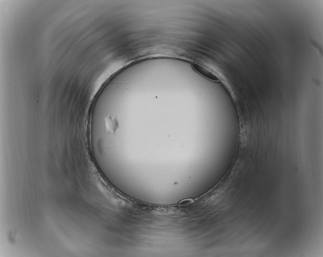 X0000103171146200809051716