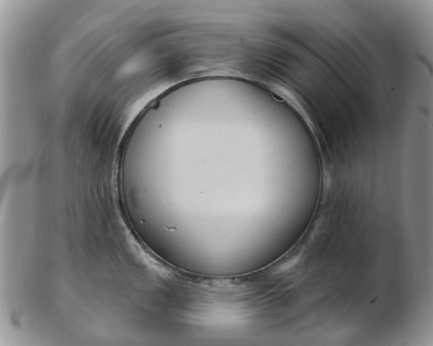 X0000103171149200809051716