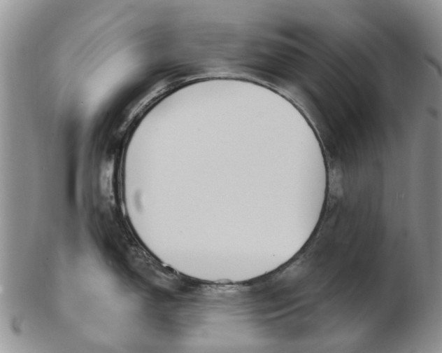 X0000103171150200809051716