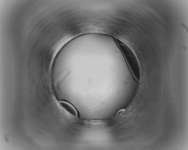 X0000103171152200809051716