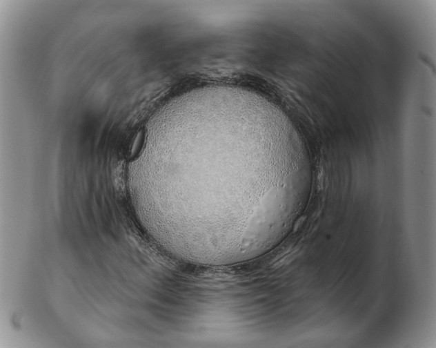 X0000103171156200809051715