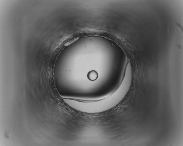 X0000103171157200809051715