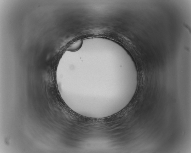 X0000103171158200809051715