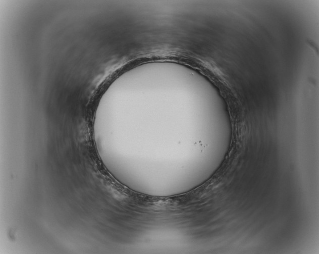 X0000103171160200809051715