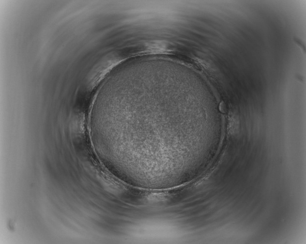 X0000103171161200809051715