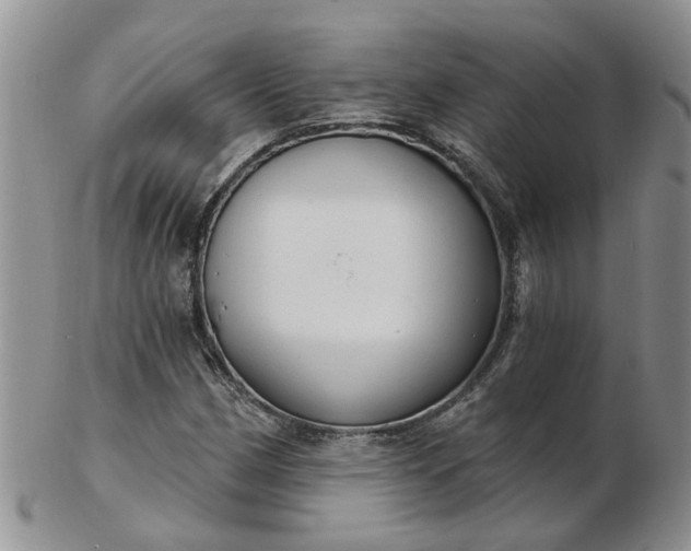 X0000103171162200809051715