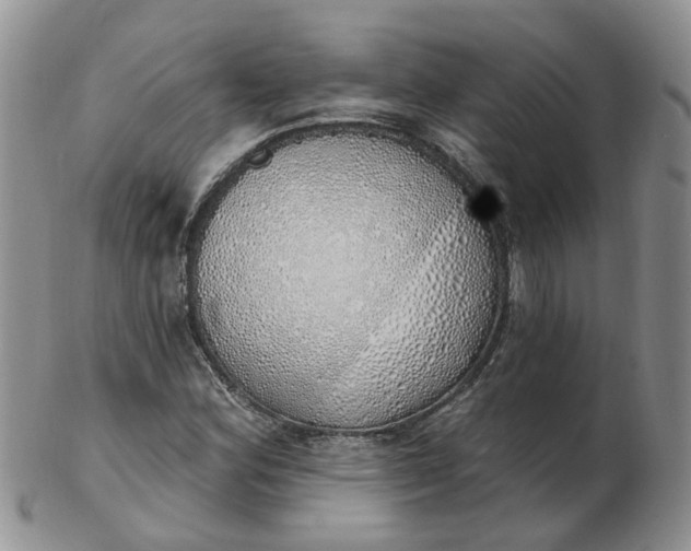 X0000103171164200809051715