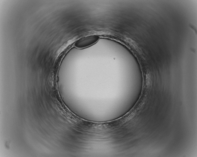 X0000103171165200809051715