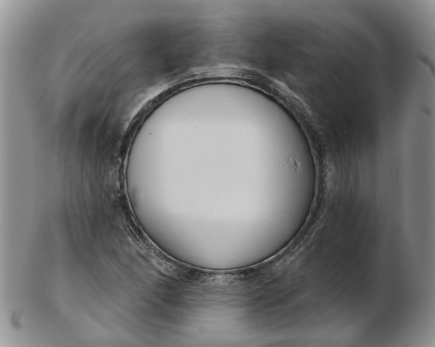 X0000103171166200809051715