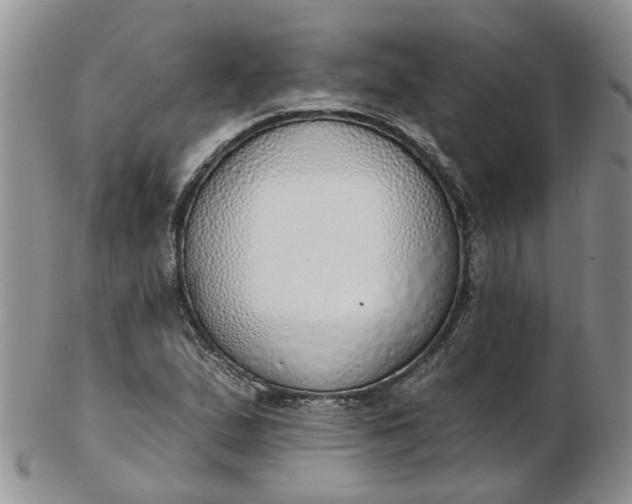 X0000103171167200809051715